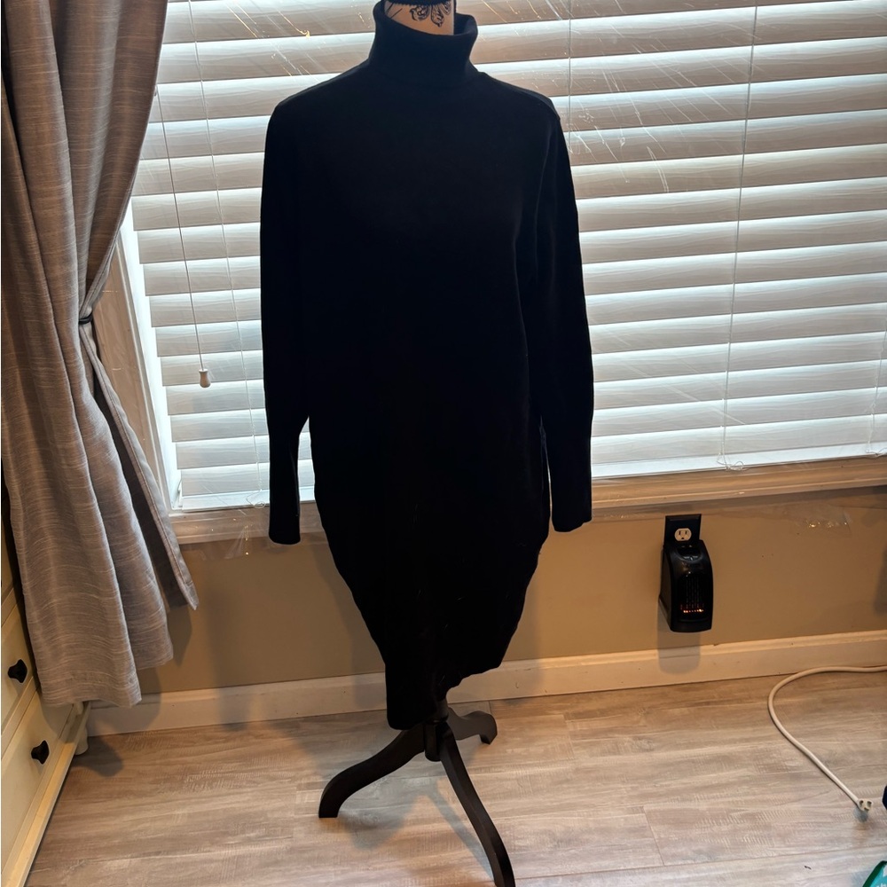 Express Black Long Sleeve Turtleneck Dress